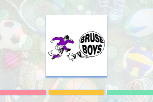 Logo VV Bruse Boys